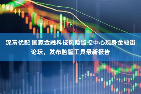 深富优配 国家金融科技风险监控中心现身金融街论坛，发布监管工具最新报告